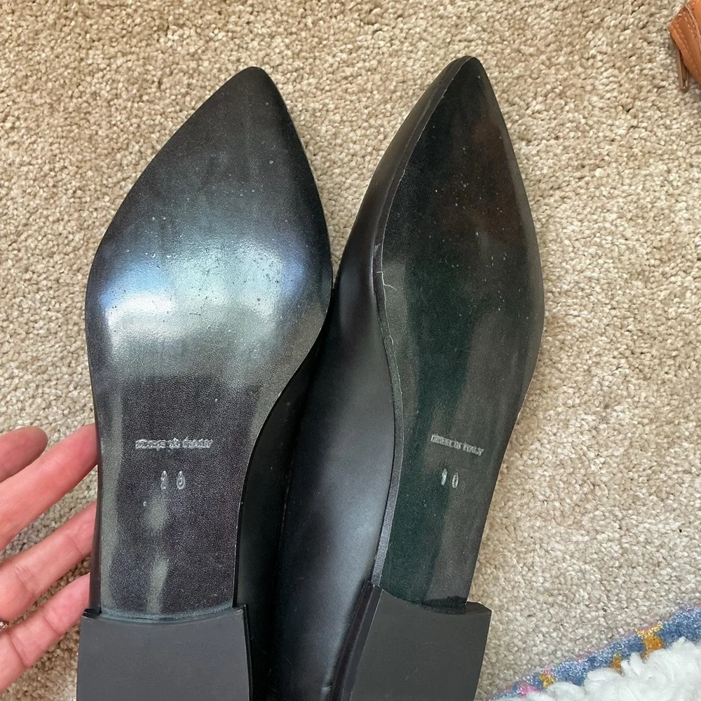 Everlane new sleek